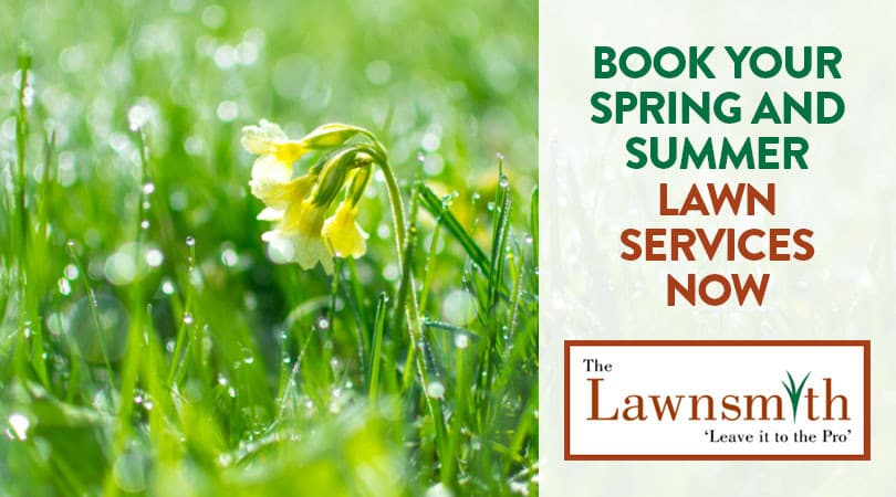 Book Your Spring and Summer Lawn Services Now