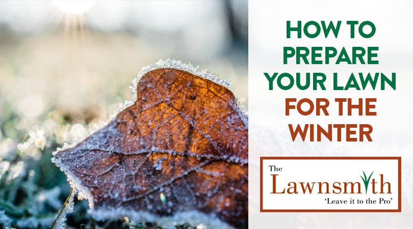 How to Prepare Your Lawn for the Winter