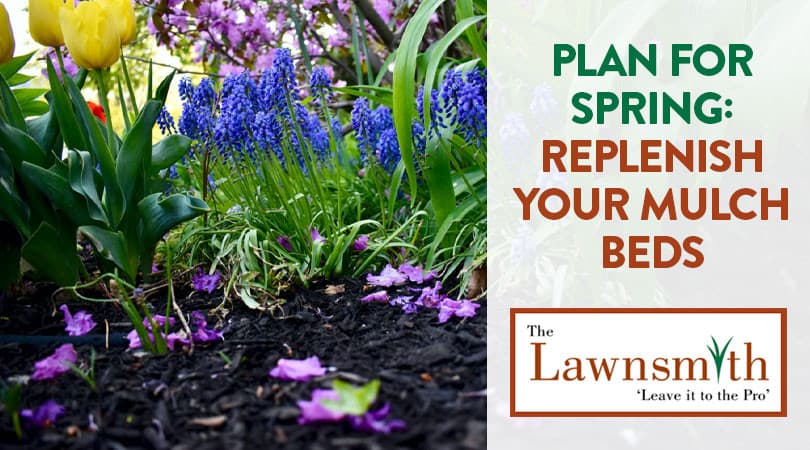 Plan for Spring: Replenish your mulch beds