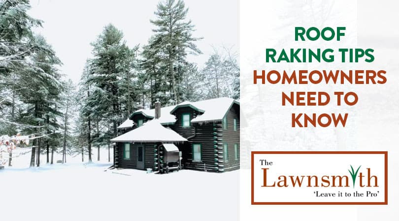 Roof Raking Tips Homeowners Need to Know