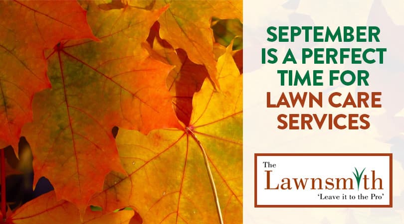 September is a Perfect Time for Lawn Care Services