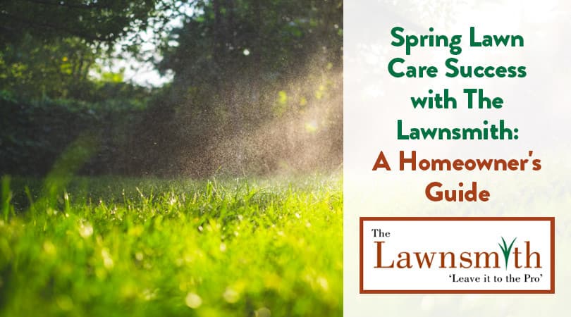 Spring Lawn Care Success with The Lawnsmith: A Homeowner's Guide