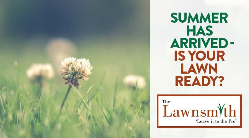 Summer has Arrived - Is Your Lawn Ready?