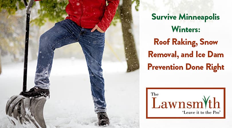 Survive Minneapolis Winters: Roof Raking, Snow Removal, and Ice Dam Prevention Done Right