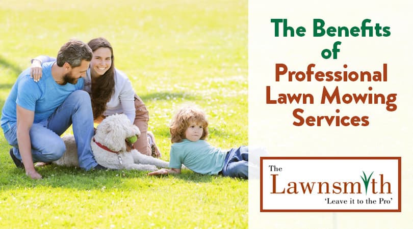 The Benefits of Professional Lawn Mowing Services