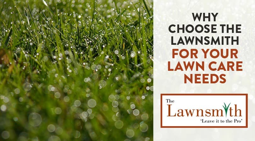 Why Choose The Lawnsmith for Your Lawn Care Needs