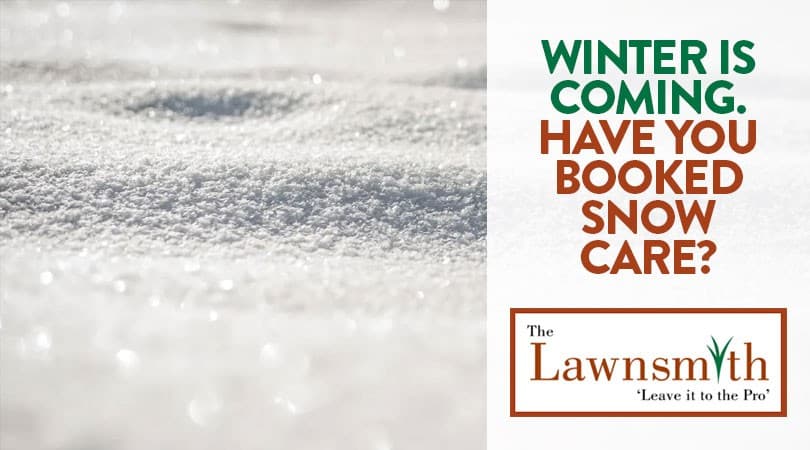 Winter Is Coming. Have You Booked Snow Care?