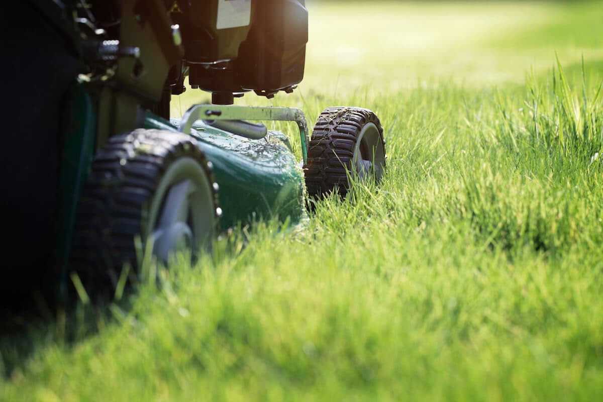 Professional weekly lawn mowing in Minneapolis western suburbs