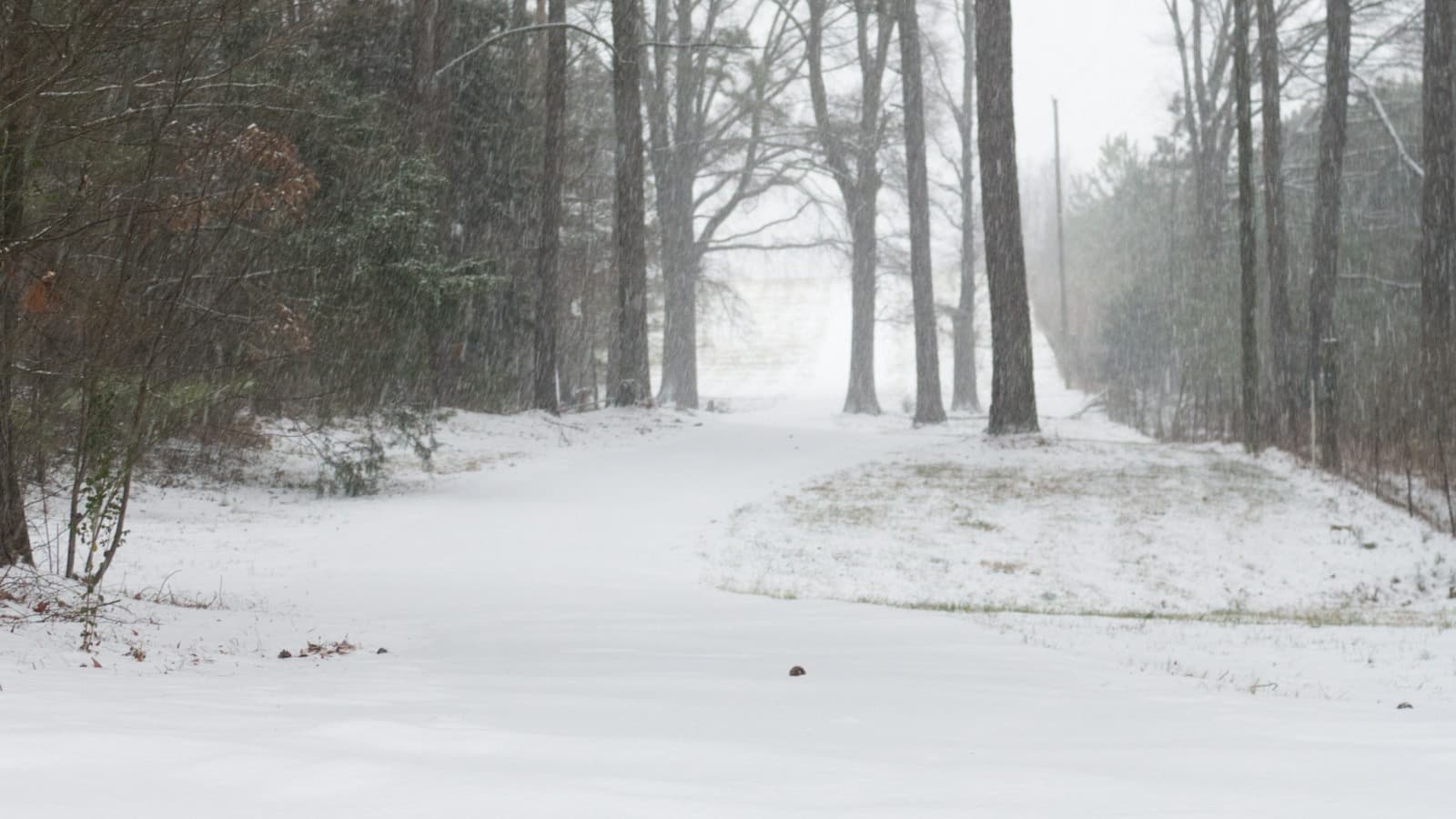 Snow-covered residential driveway after a winter storm